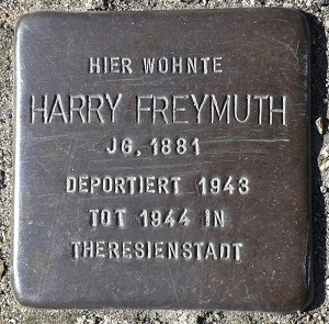 FreymuthD300